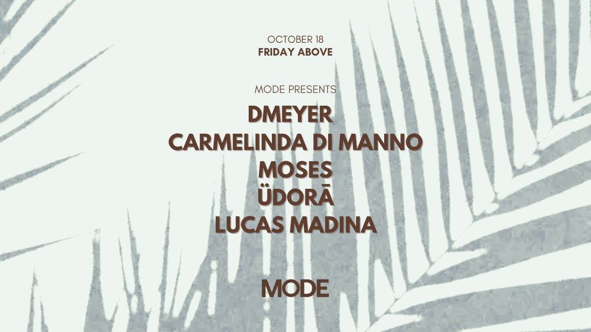 Dmeyer, Carmelina & More