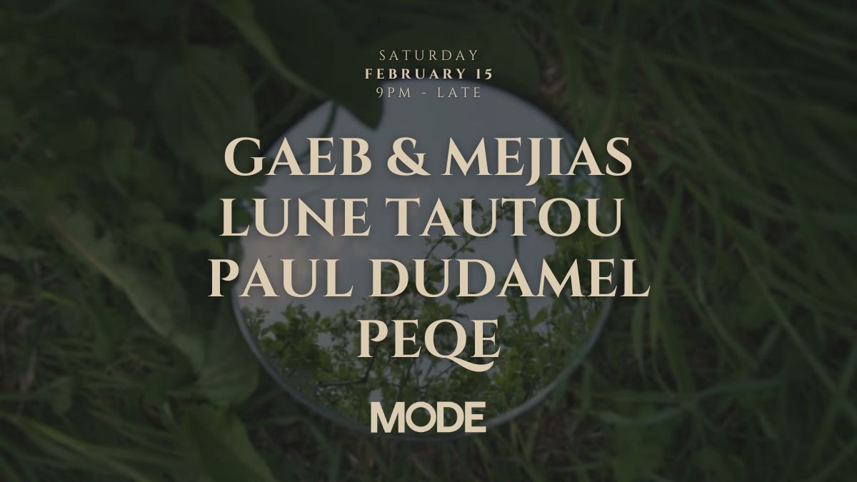 Gaeb & Mejias + Friends